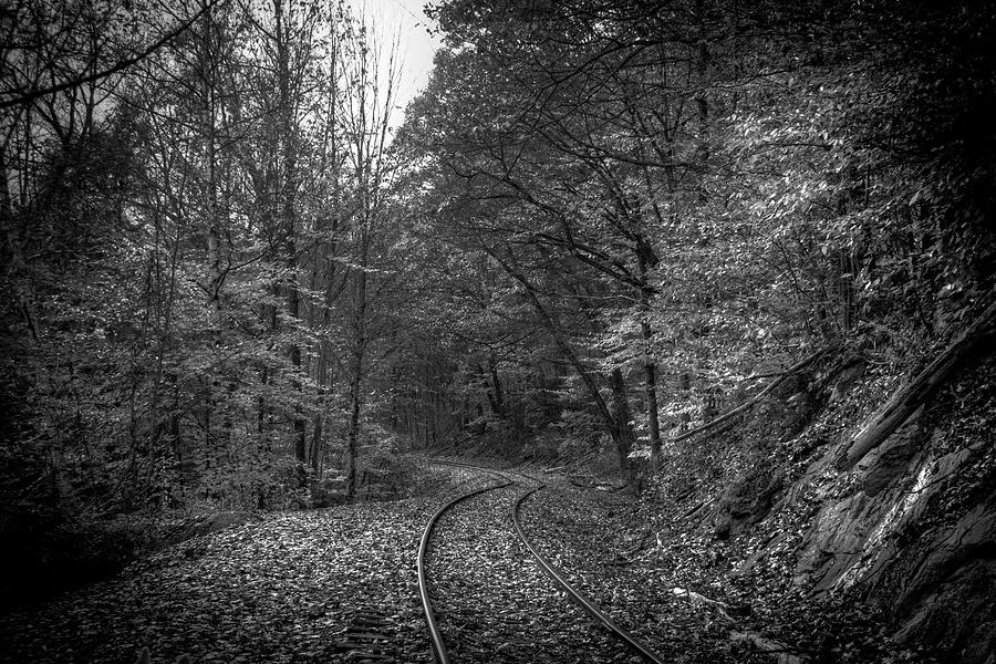 Autumn Rails Monochrome Photograph by Wayne King