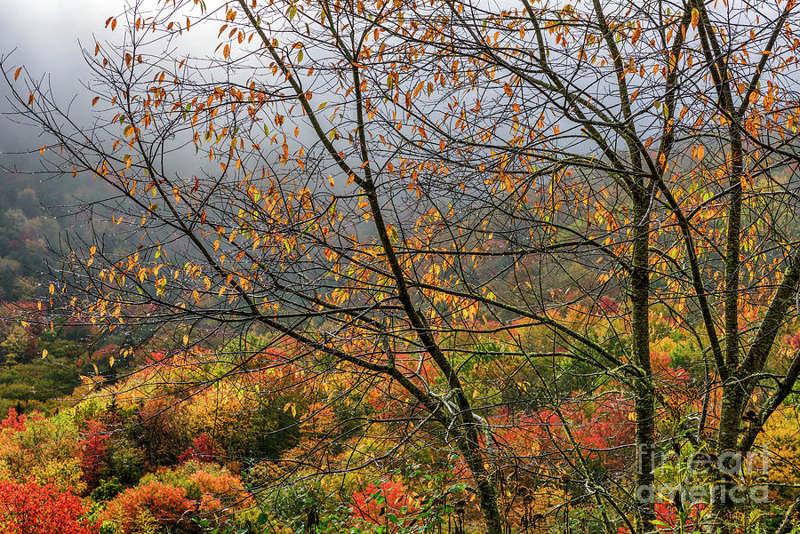 Autumn Rain Along The Highland Scenic Highway Photograph