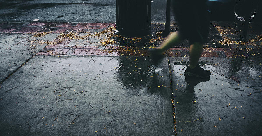 Autumn Rain Photograph by John Hoey