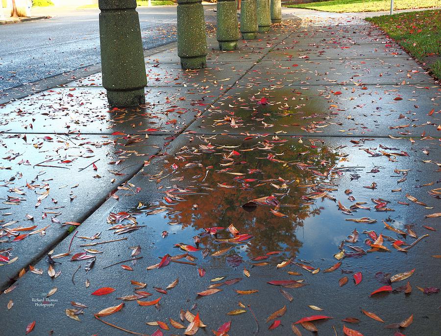 Autumn Rain Photograph by Richard Thomas