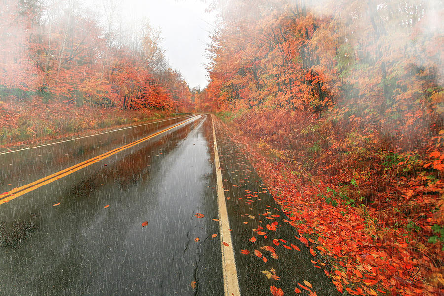 Autumn Rain Photograph by Robert Harris