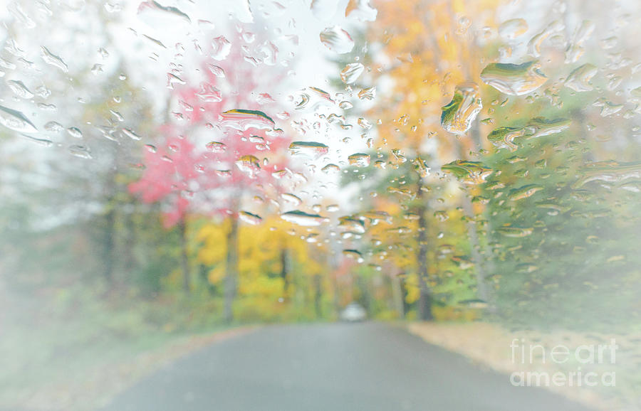 Autumn Rain Through Car Window Photograph by Charline Xia