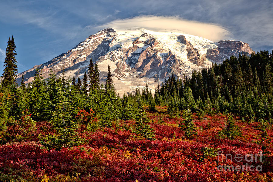 Autumn Rainbow Of Color At Paradise Photograph by Adam Jewell