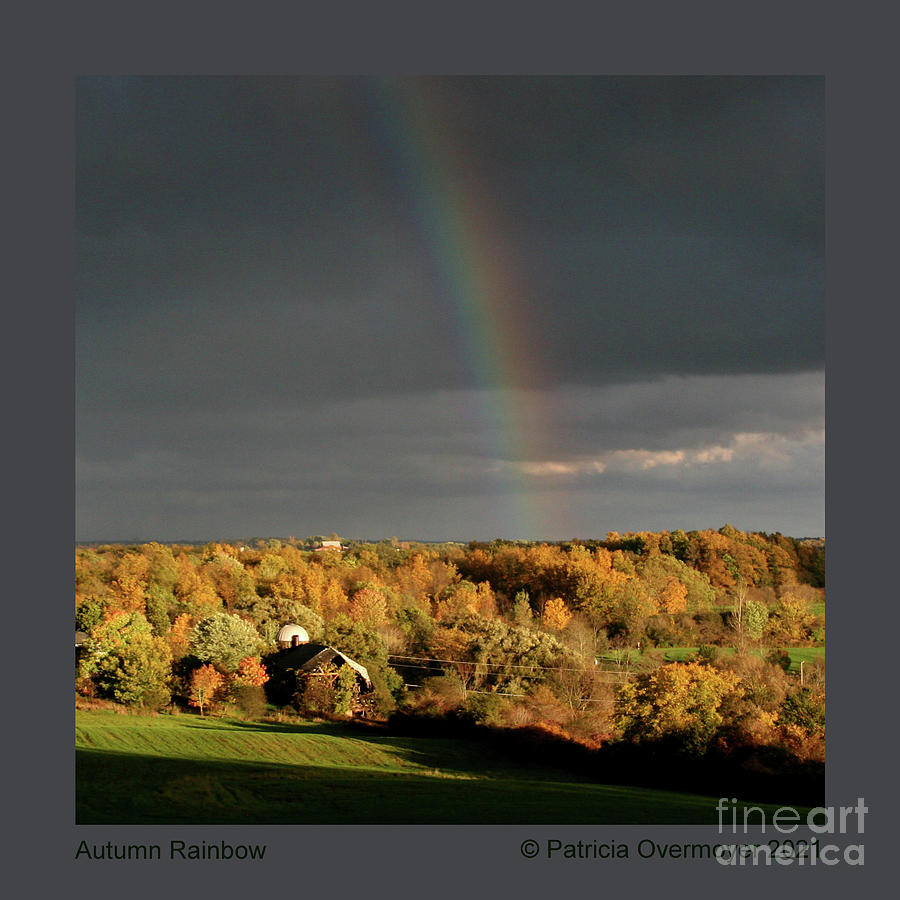 Autumn Rainbow Photograph by Patricia Overmoyer