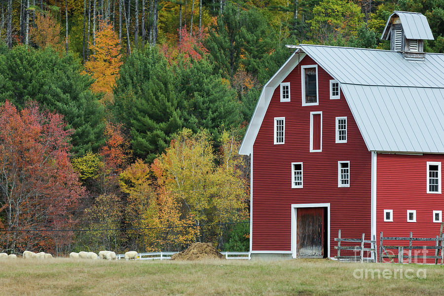 Autumn Red Barn Croydon New Hampshire Photograph by Edward Fielding