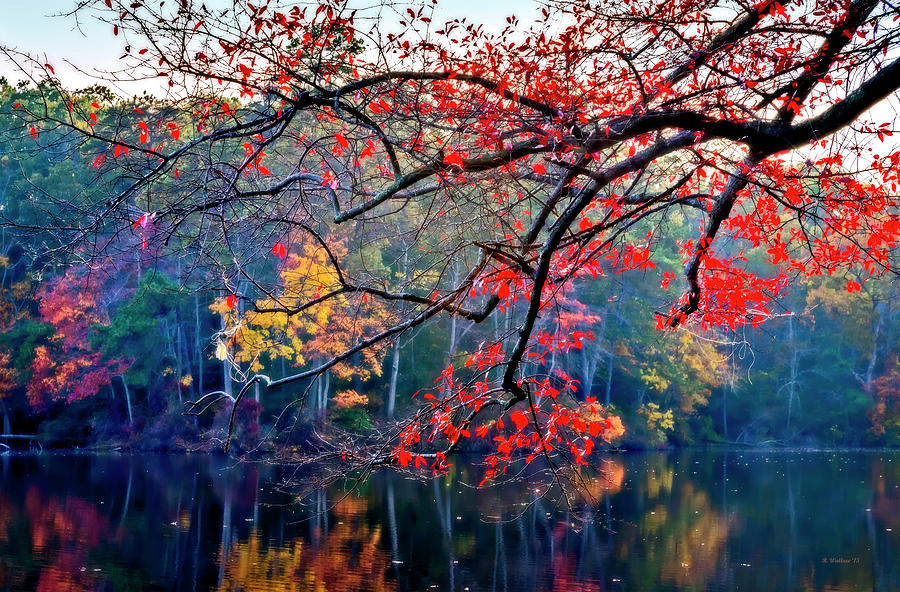 Autumn Red Photograph by Brian Wallace