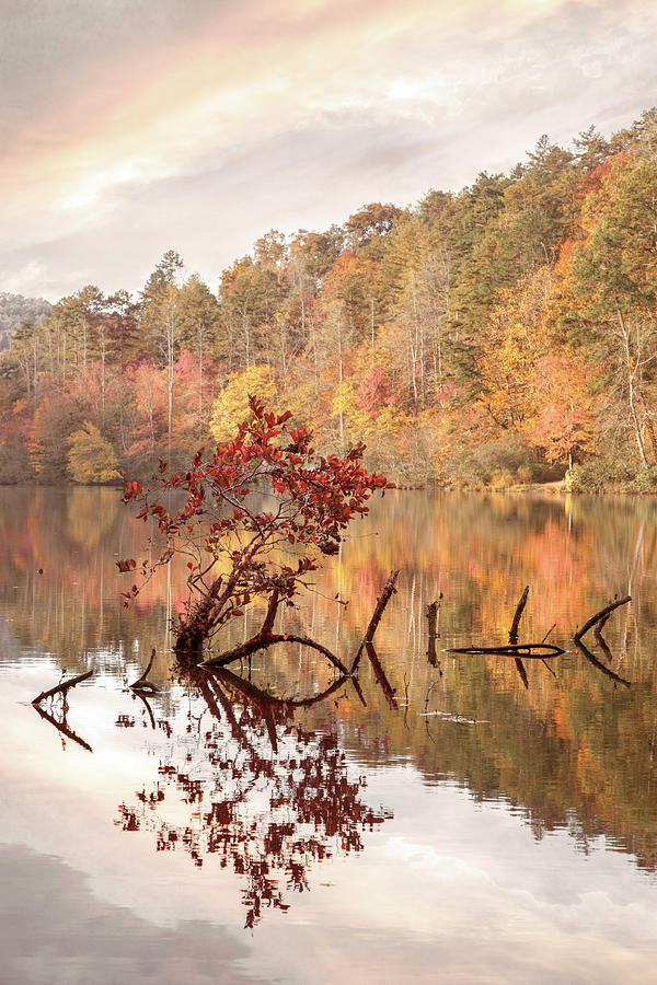Autumn Red Country Reflections Photograph by Debra and Dave Vanderlaan