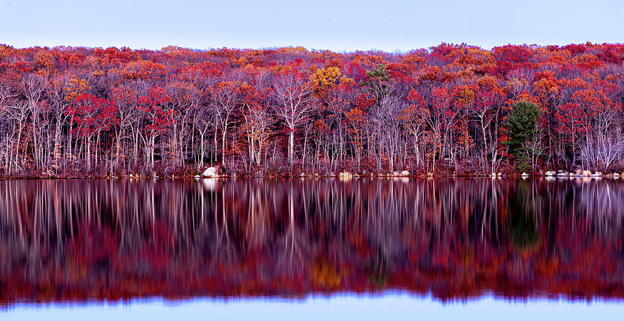 Autumn Red Photograph by Eddy Bernardo