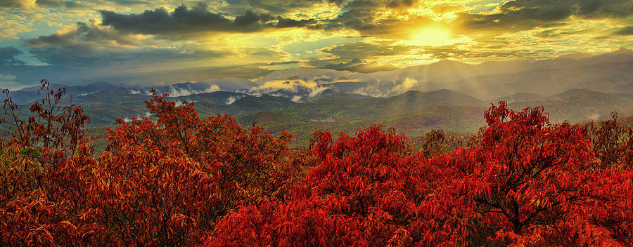 Autumn Reds and Bright Yellow Sun Panorama Photograph by Dan Carmichael