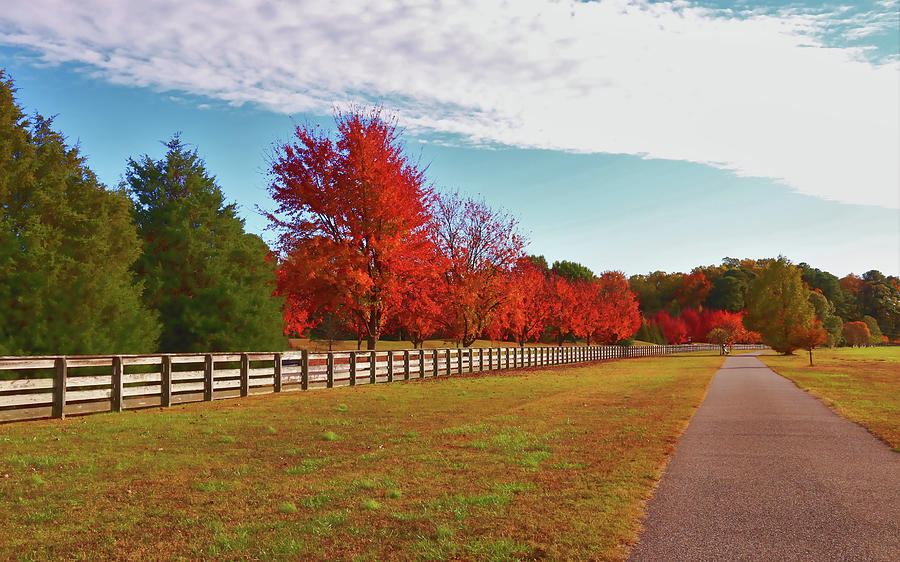 Autumn Reds in Riverview Farm Park Photograph by Ola Allen