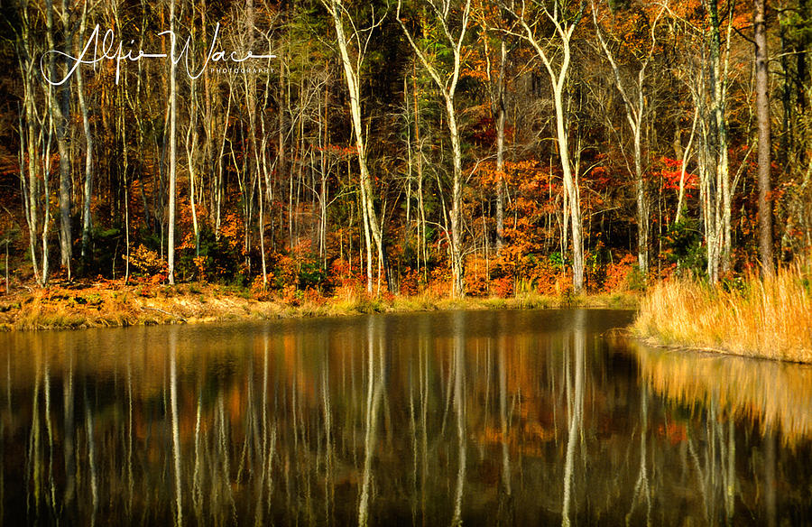 Autumn Reflected Photograph
