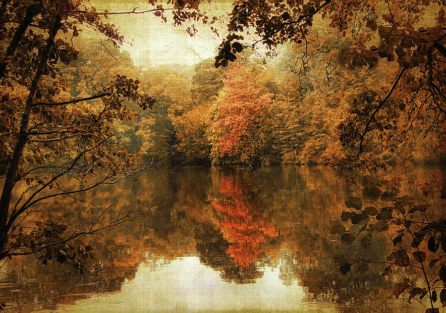 Autumn Reflected Photograph by Jessica Jenney