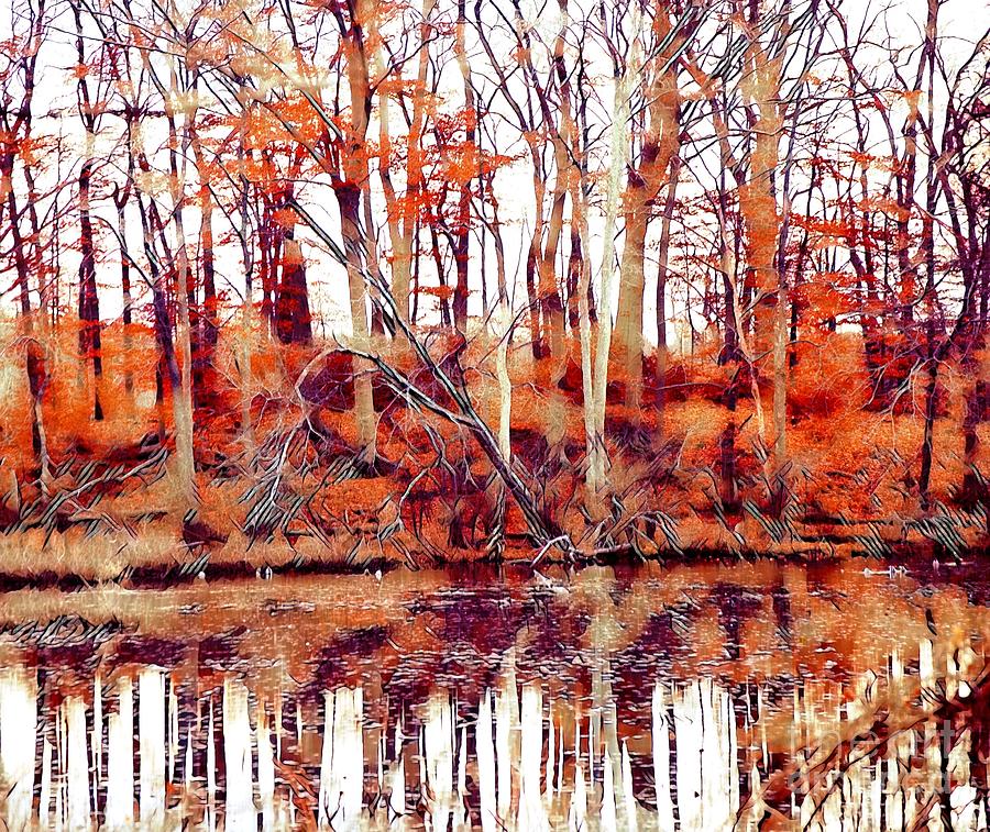 Landscape Photograph - Autumn reflected by Ute Carbone