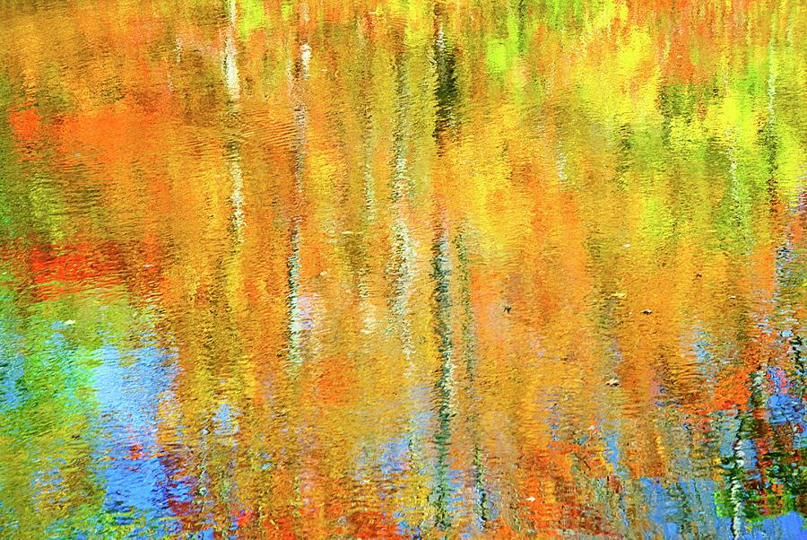 Autumn Reflection 1 Photograph by Jill Love