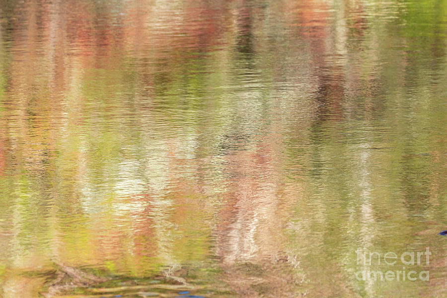 Autumn Reflection Abstract Photograph by Theresa D Williams