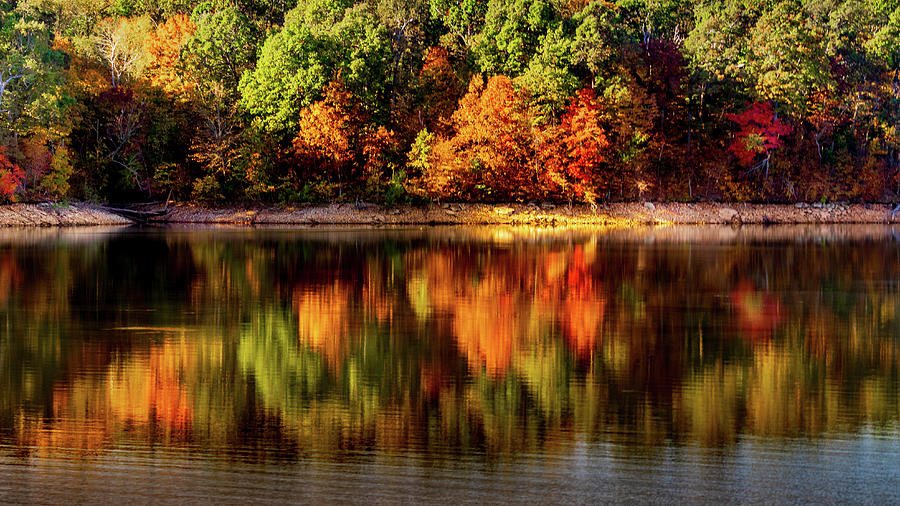 Autumn Reflection Photograph by Allin Sorenson
