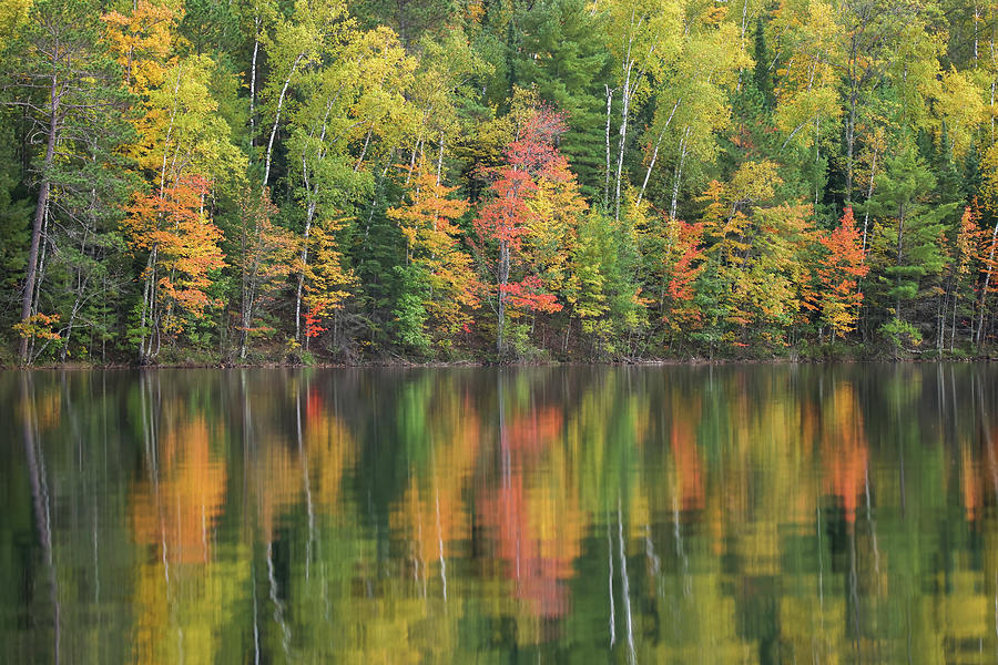 Autumn Reflection Photograph by Brook Burling