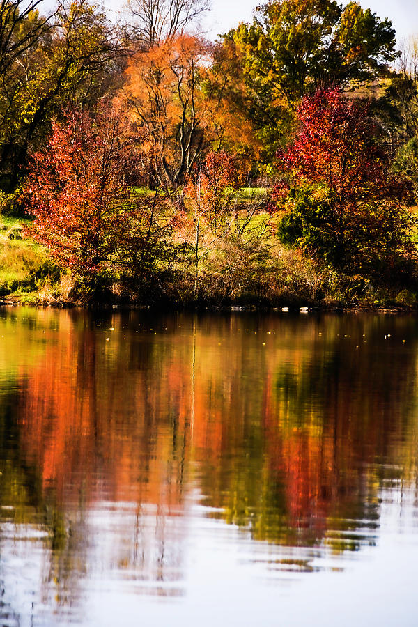 Autumn Reflection Photograph by Elsa Santoro