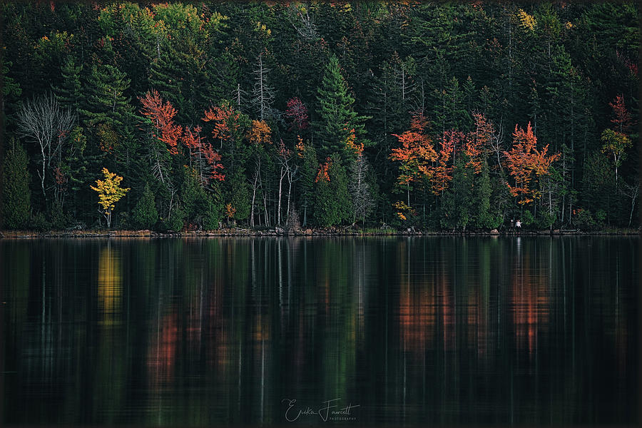 Autumn Reflection Photograph by Erika Fawcett