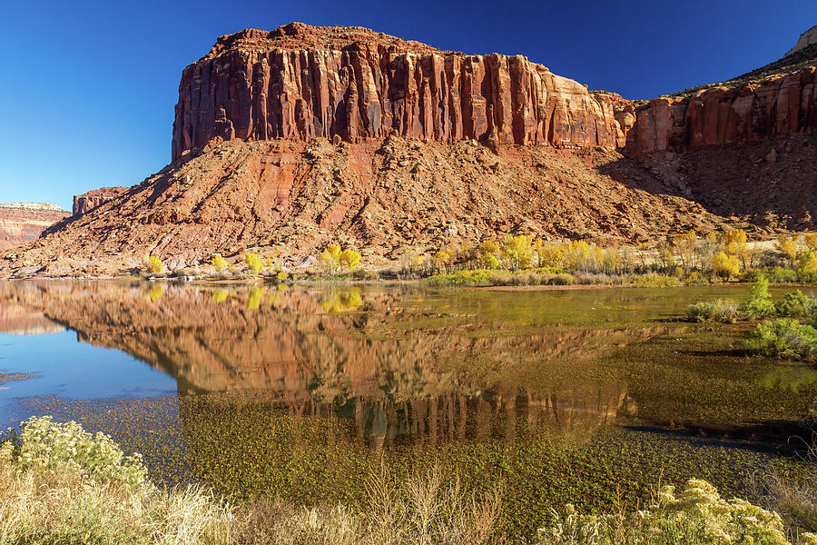Autumn reflection in Canyonlands National Park Photograph by Pierre Leclerc Photography