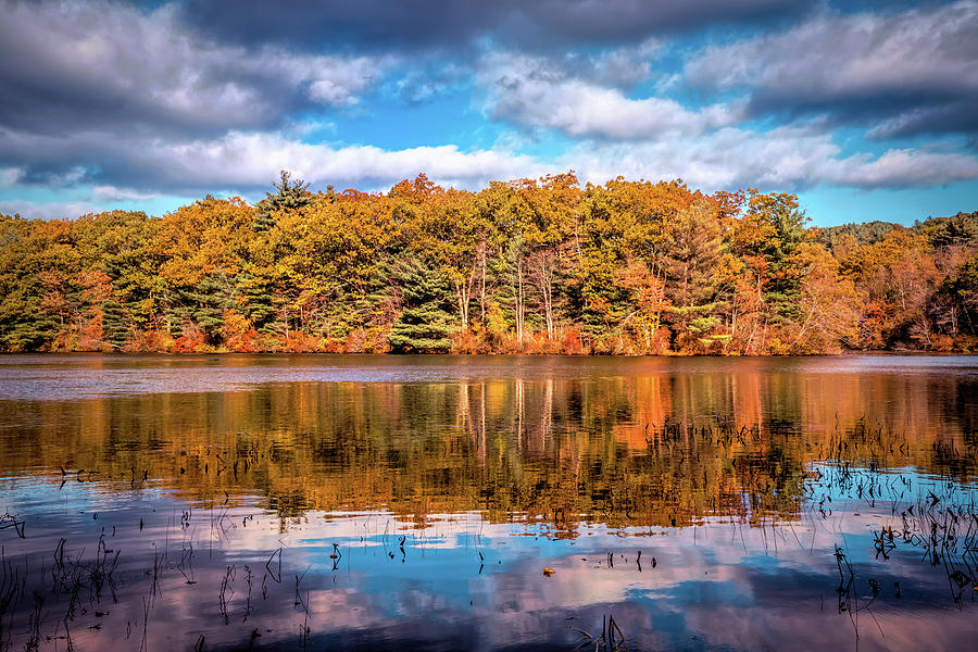 Autumn reflection in Moor State park Photograph by Lilia S