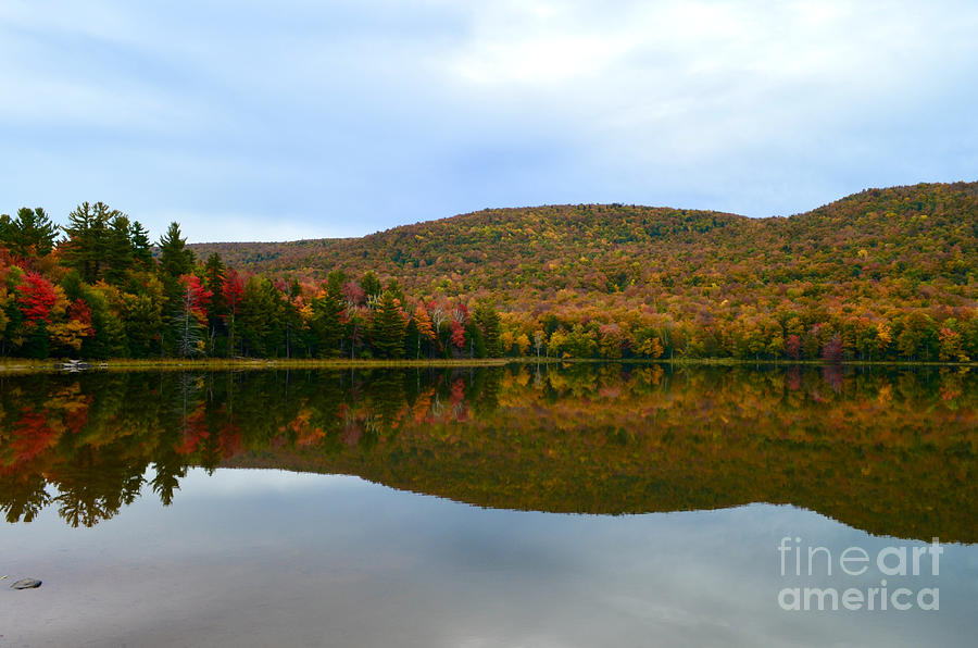 Autumn Reflection Photograph By Janet Davaros Fine Art America   Autumn Reflection Janet Davaros 