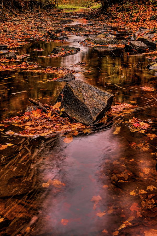 Autumn Reflection On Big Sandy Creek Photograph by Dale Kauzlaric
