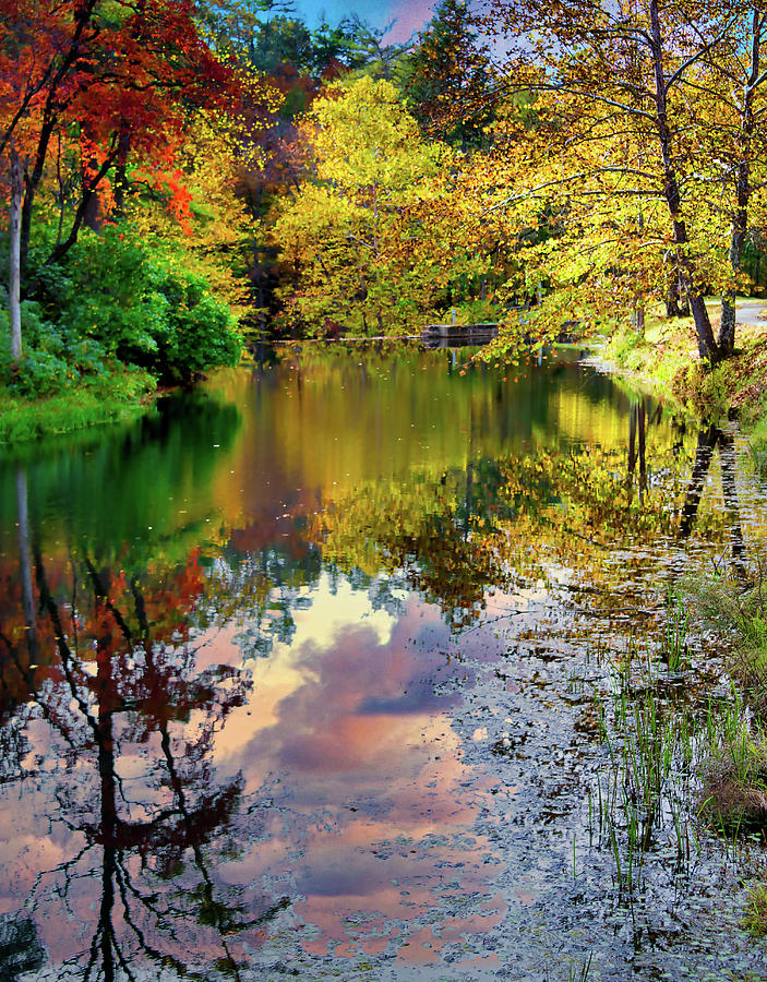 Autumn Reflection On Otter Creek Mixed Media