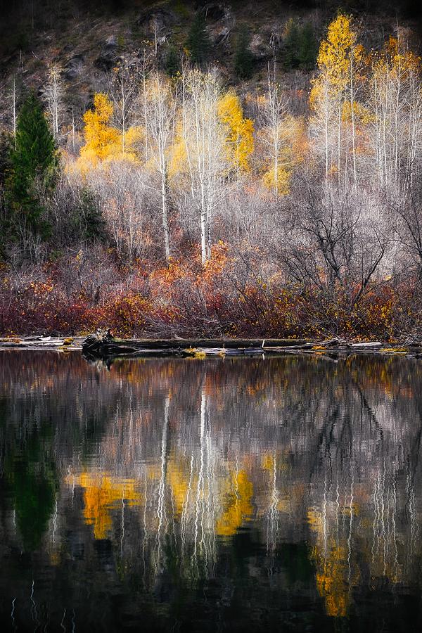 Autumn Reflection Photograph by Ursula Abresch