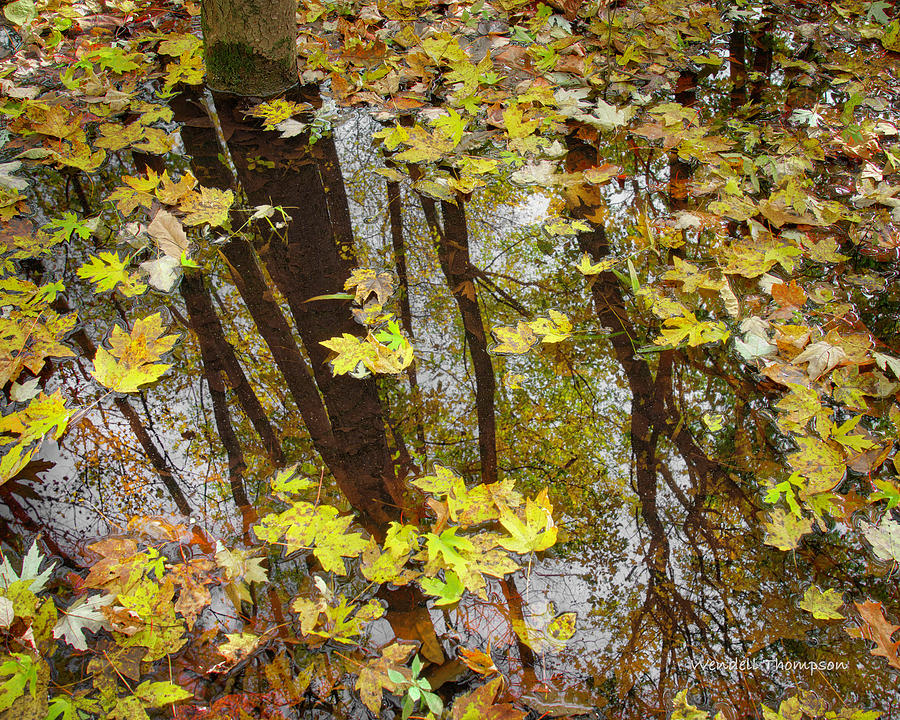 Autumn Reflection Photograph by Wendell Thompson