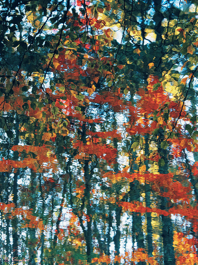 Nature Photograph - Autumn Reflections 1 by Brian Shepard