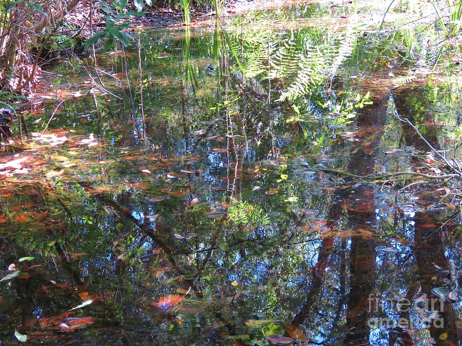 Autumn Reflections 4 Photograph by World Reflections By Sharon