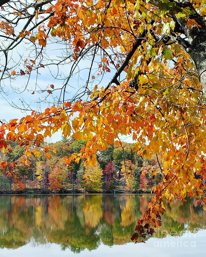 Autumn Reflections  Photograph by Anita Adams