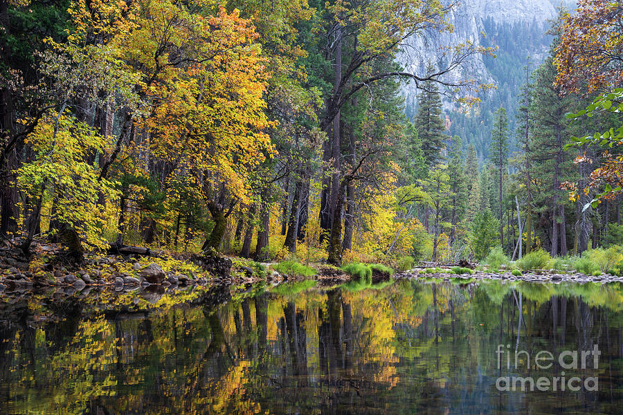 Autumn Reflections Photograph by Anthony Michael Bonafede