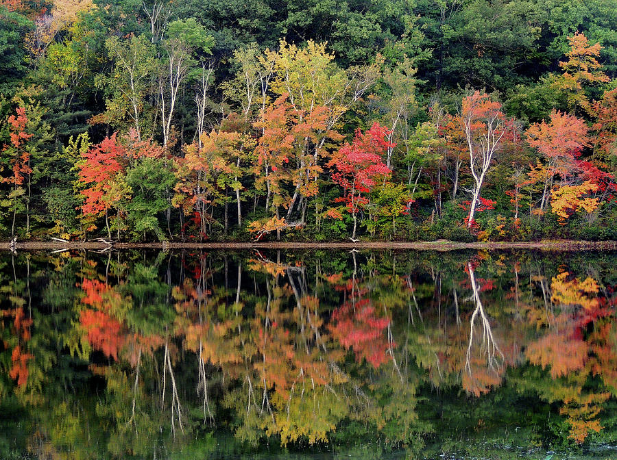 Autumn Reflections at Baker Pond Photograph by Nancy Griswold