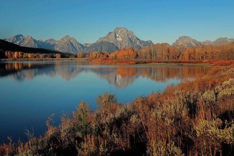 Autumn Reflections At Oxbow Bend Photograph