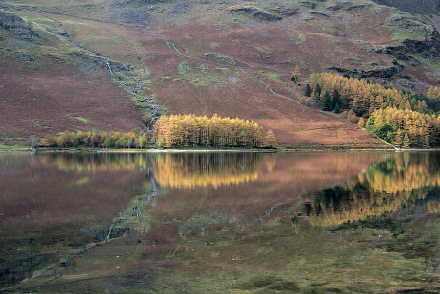 Autumn Reflections, Butteremere, Lake District, England, Uk Photograph by Sarah Howard