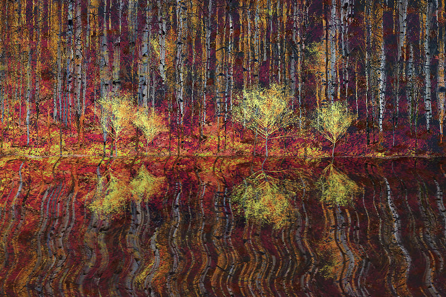 Autumn reflections Digital Art by Cesar Torres - Fine Art America