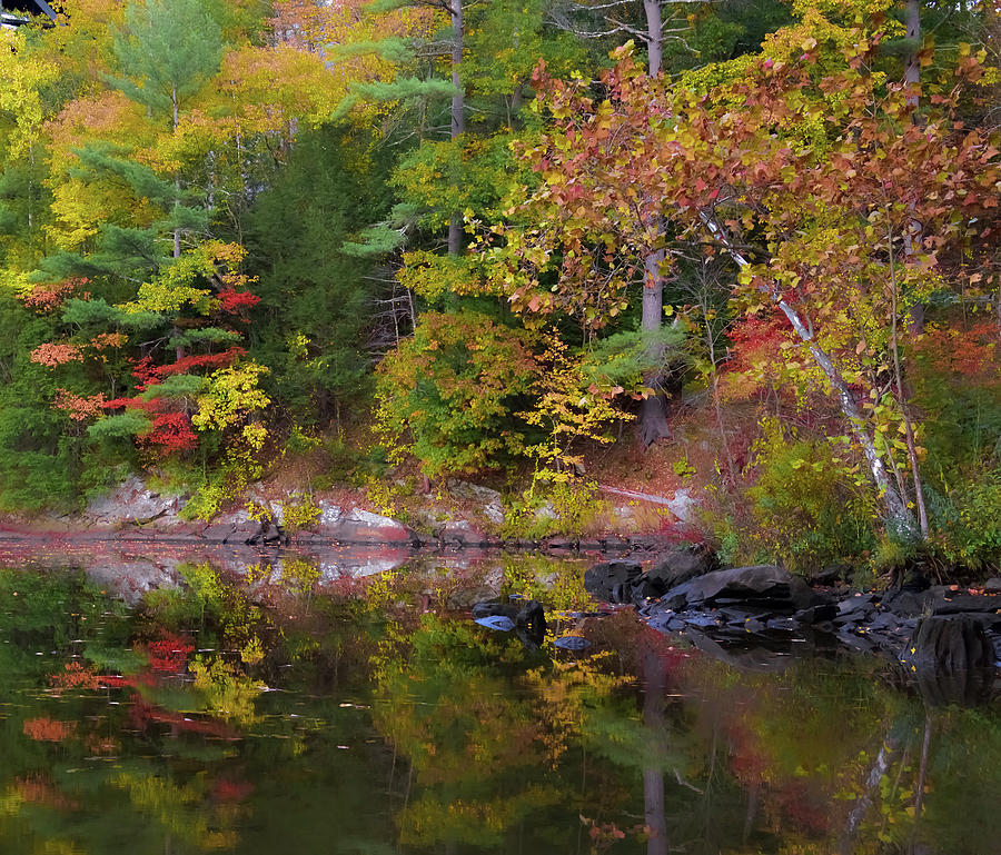 Autumn Reflections Photograph by Christina McGoran