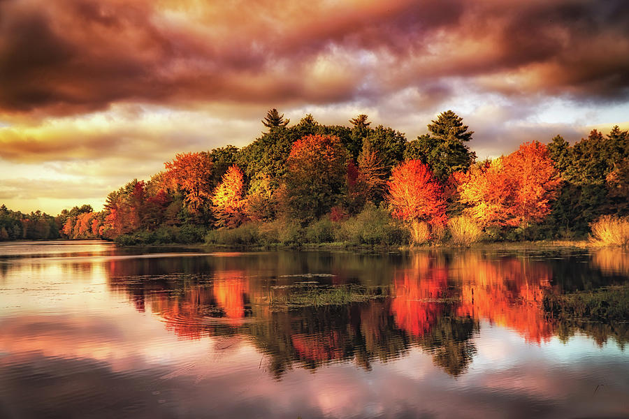 Autumn reflections colors Photograph by Lilia S