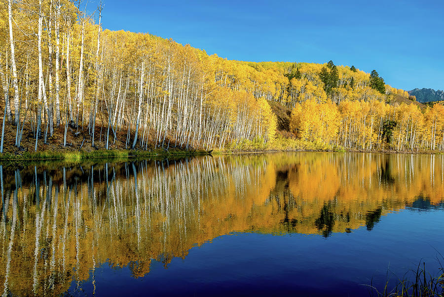 Autumn Reflections Cushman Lake San Juan Mountains above Telluri ...