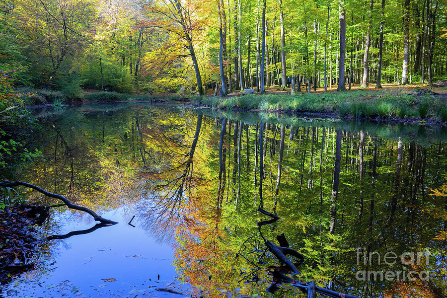 Autumn Reflections Photograph by Eva Lechner
