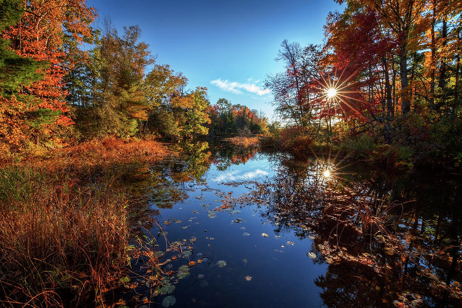 Autumn a8911 Photograph by Greg Hartford