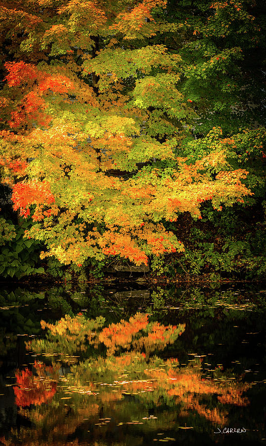 Autumn Reflections Photograph by Jim Carlen