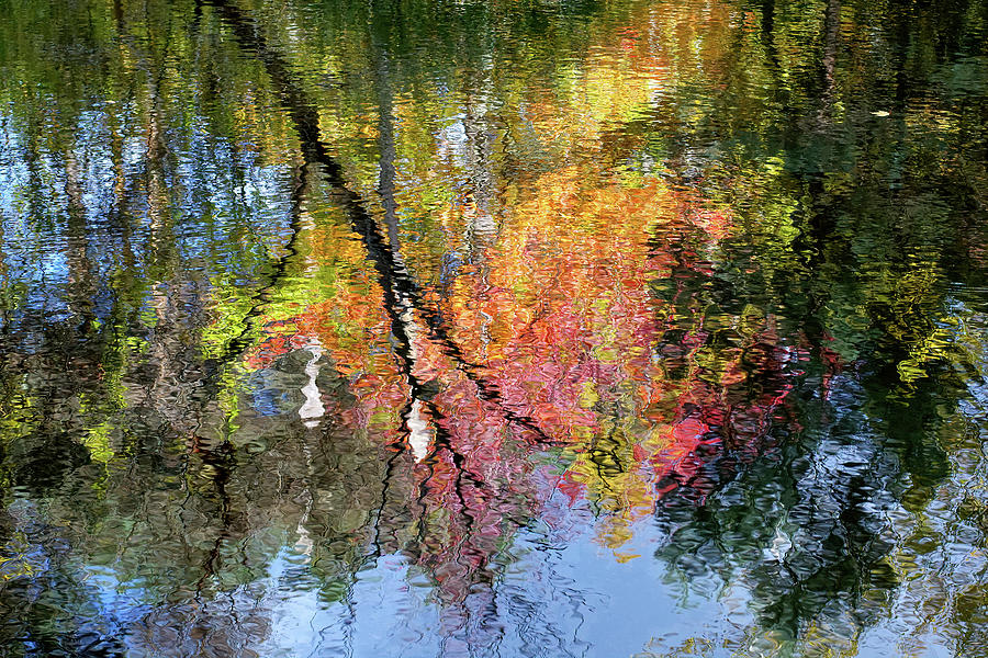 Autumn Reflections Photograph by Kathi Mirto