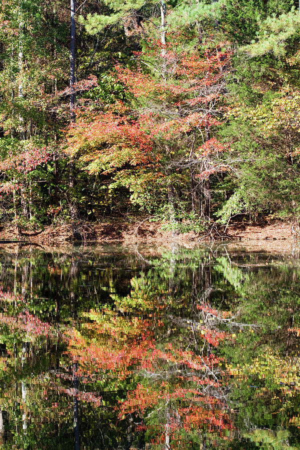 Autumn Reflections Photograph by Kathy Clark