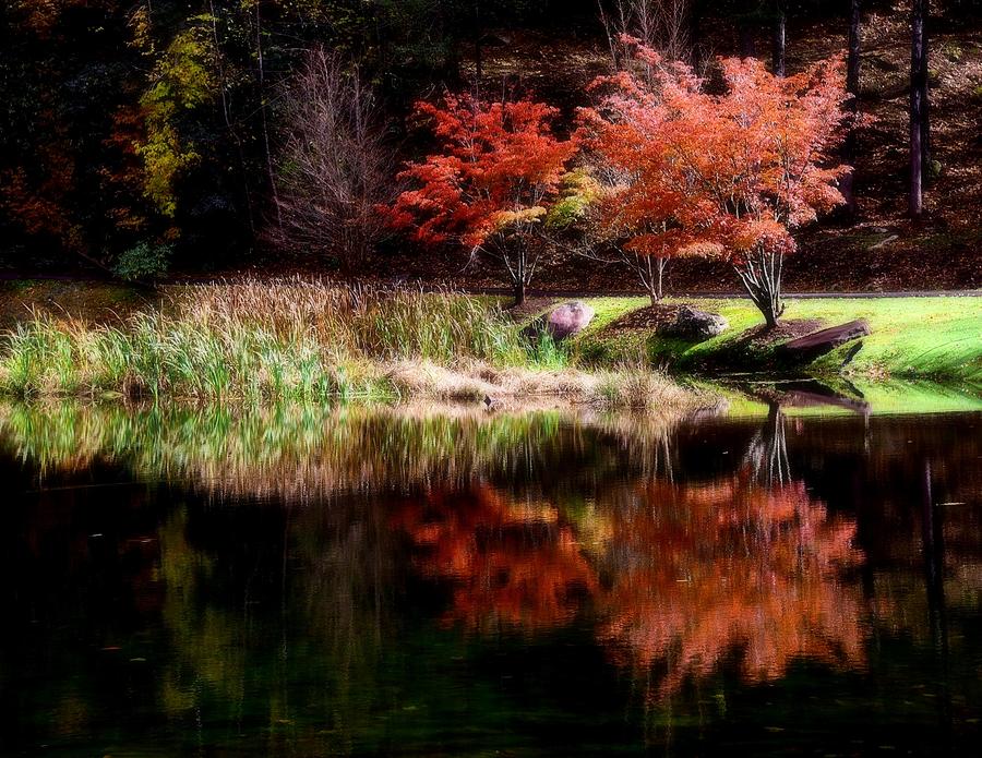 Autumn reflections Photograph by Lynn Hunt
