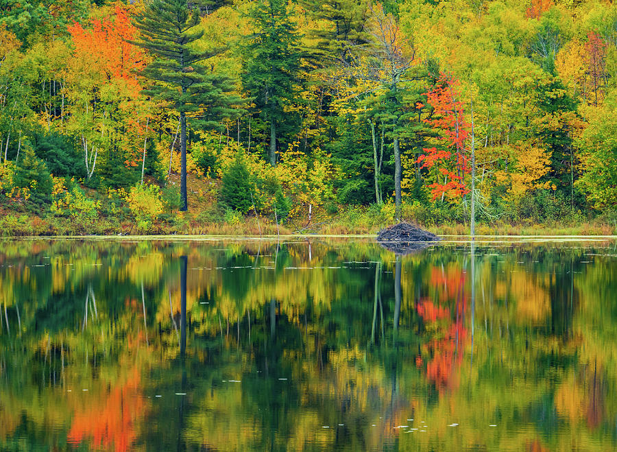 autumn reflections on Beaver Dam Pond Photograph by Ann Moore