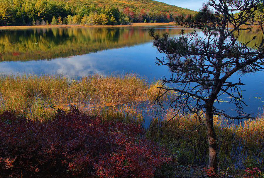 Autumn Reflections On Eagle Lake Photograph by Stephen Vecchiotti