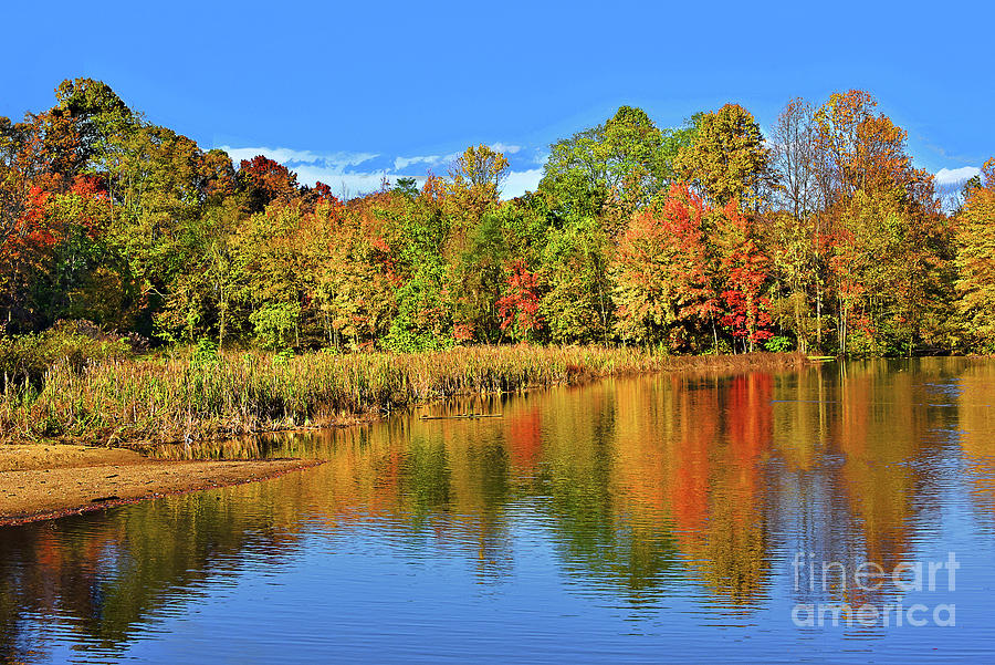Autumn Reflections On Woodland Pond Photograph